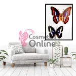 Tablou / Poster pentru decor salon 3D din vinil Cod TPA043 XL Tablou / Poster pentru decor salon 3D din vinil Cod TPA043 XL